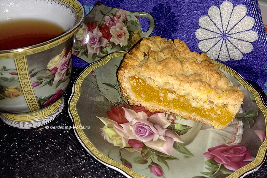 Изумительный тертый пирог с апельсиново-лимонной начинкой