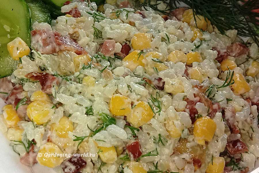 Салат с рисом и кукурузой – сытный и простой