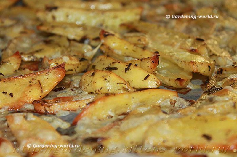 Запеченный картофель дольками в духовке