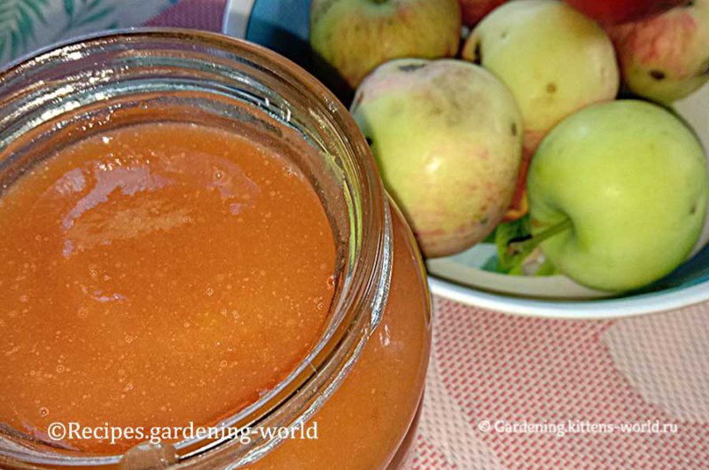 Рецепт яблочного пюре из падалицы